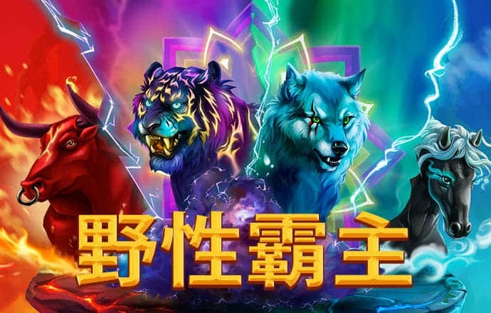 ng官网